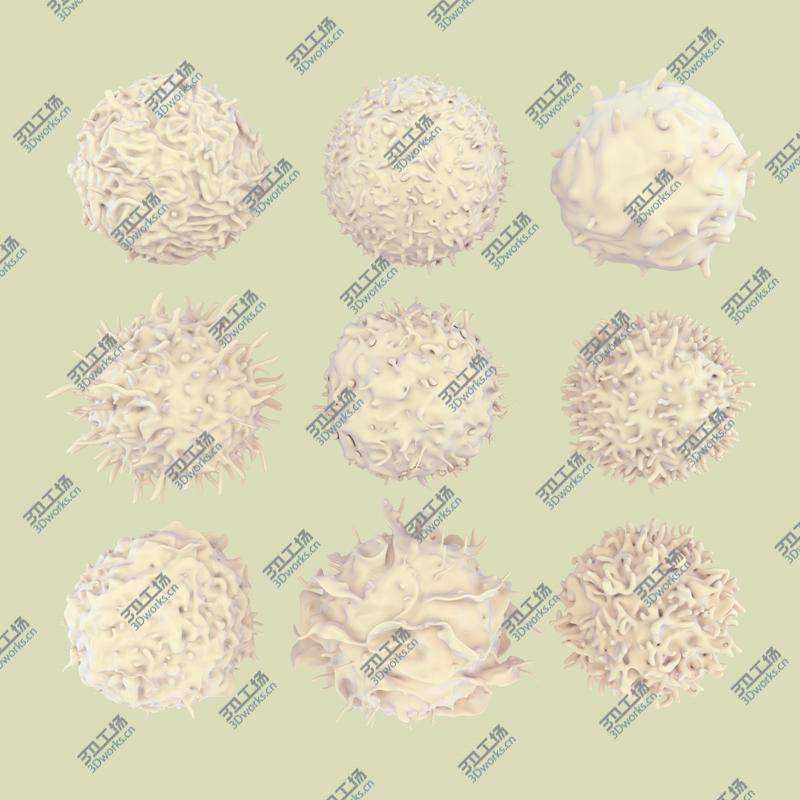 images/goods_img/20210114/3D Hummingbird Fur Animated Rigged model/5.jpg